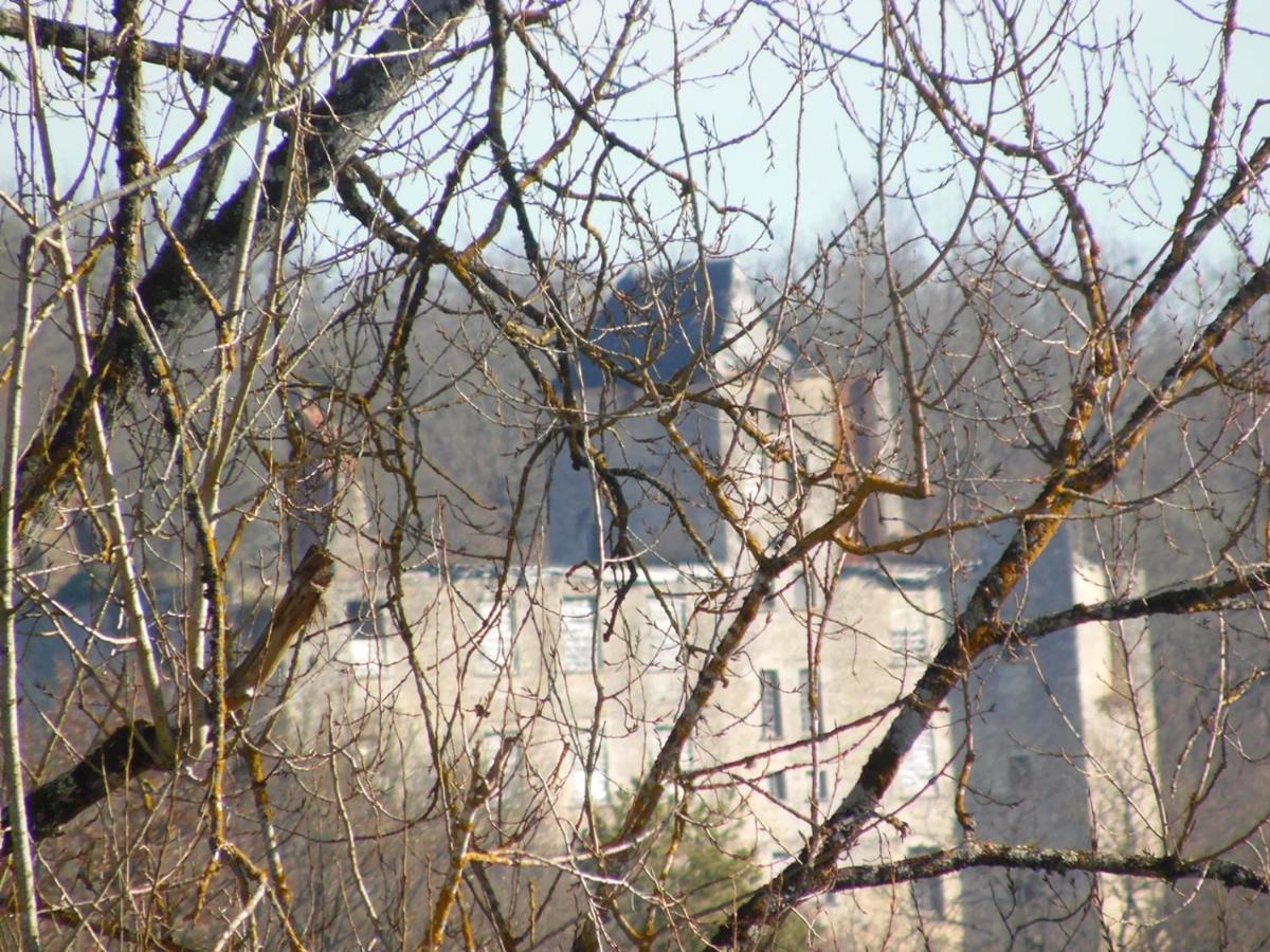 Gîte et Chambres d'hôtes Les Terrasses de Gaumier Gaumiers Exterior foto